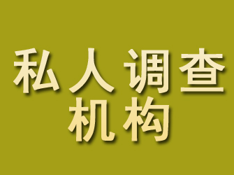 沙坪坝私人调查机构